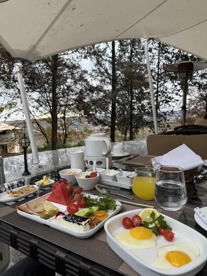 سفر جنگلی